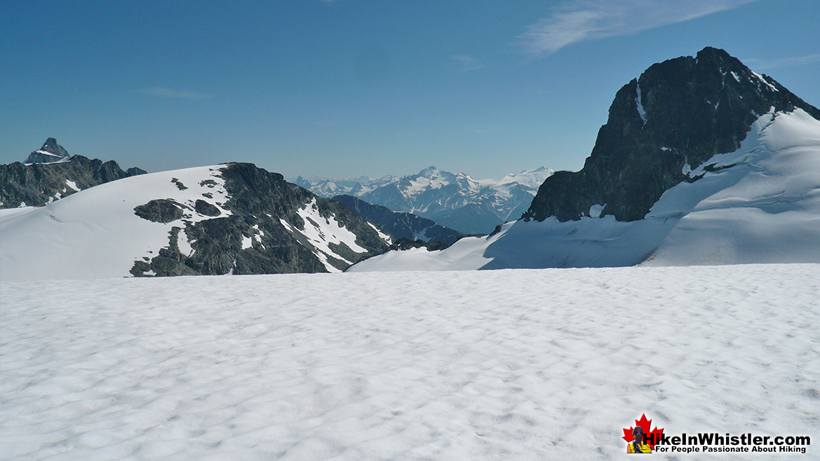 Wedge-Weart Col View