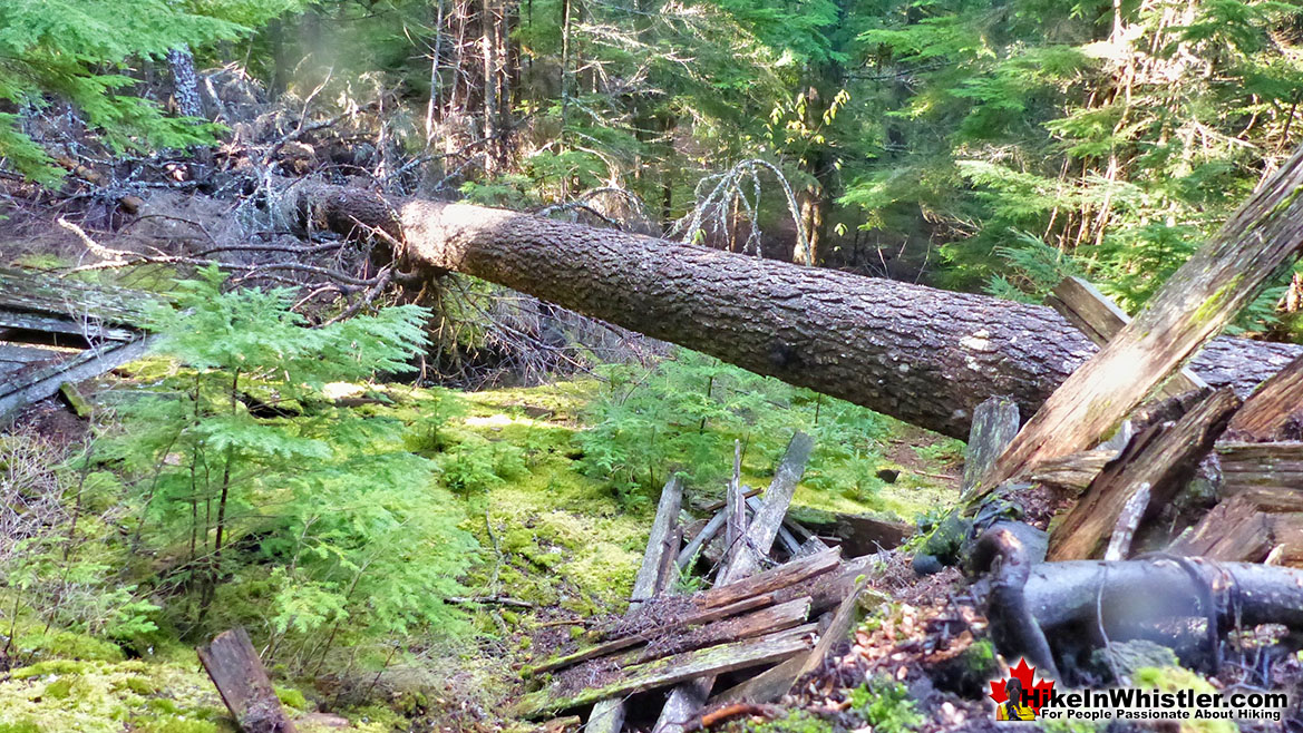 Parkhurst Ghost Town Bushwhacking