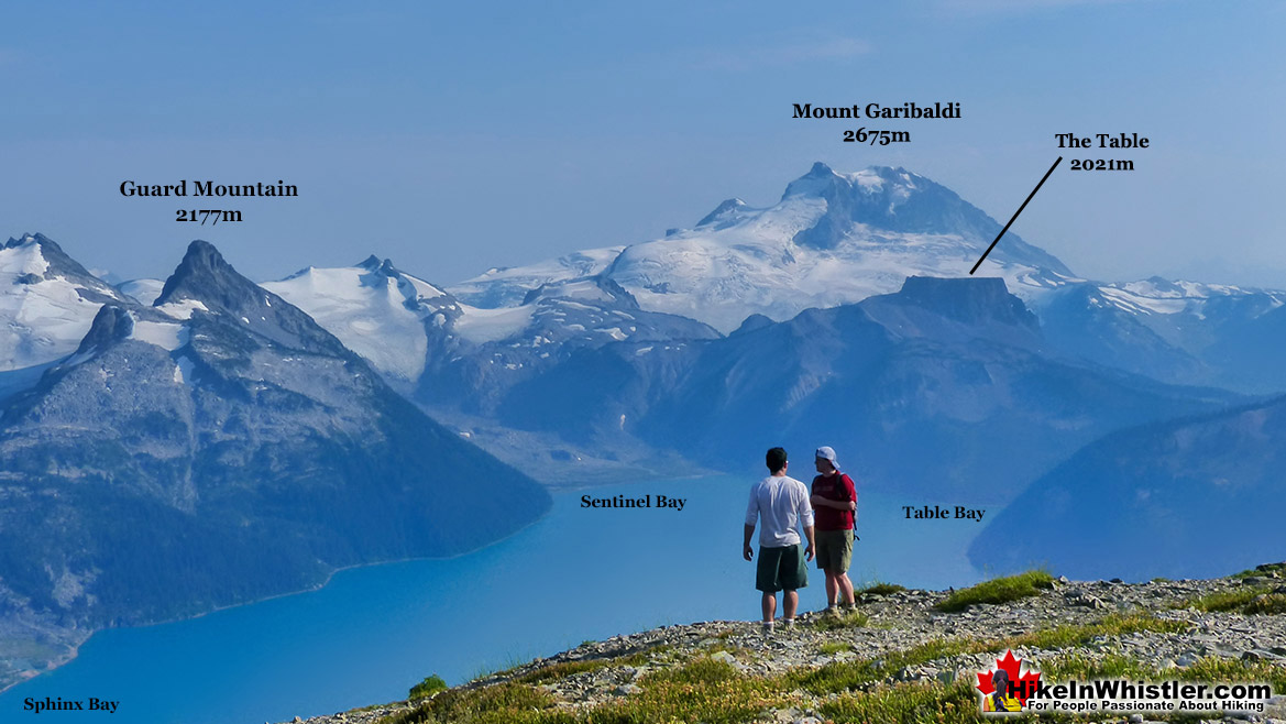 Mount Garibaldi from Panorama Ridge