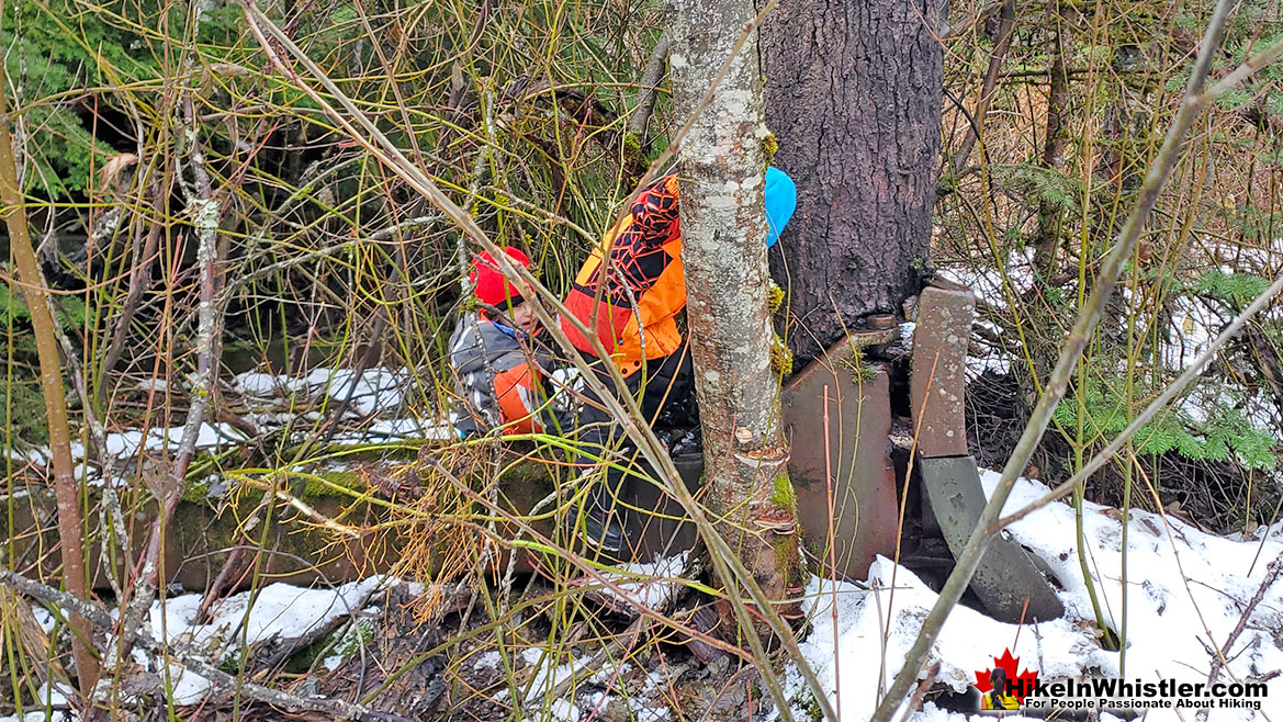 Parkhurst Ghost Town Plow Tree