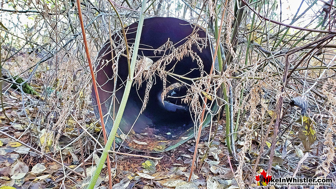 Parkhurst Sawmill Chimney