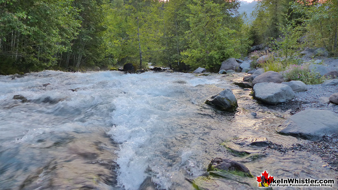 Rubble Creek Mid Summer