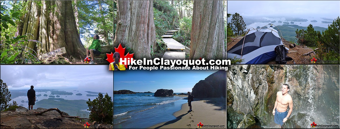 Best Tofino and Clayoquot Hiking