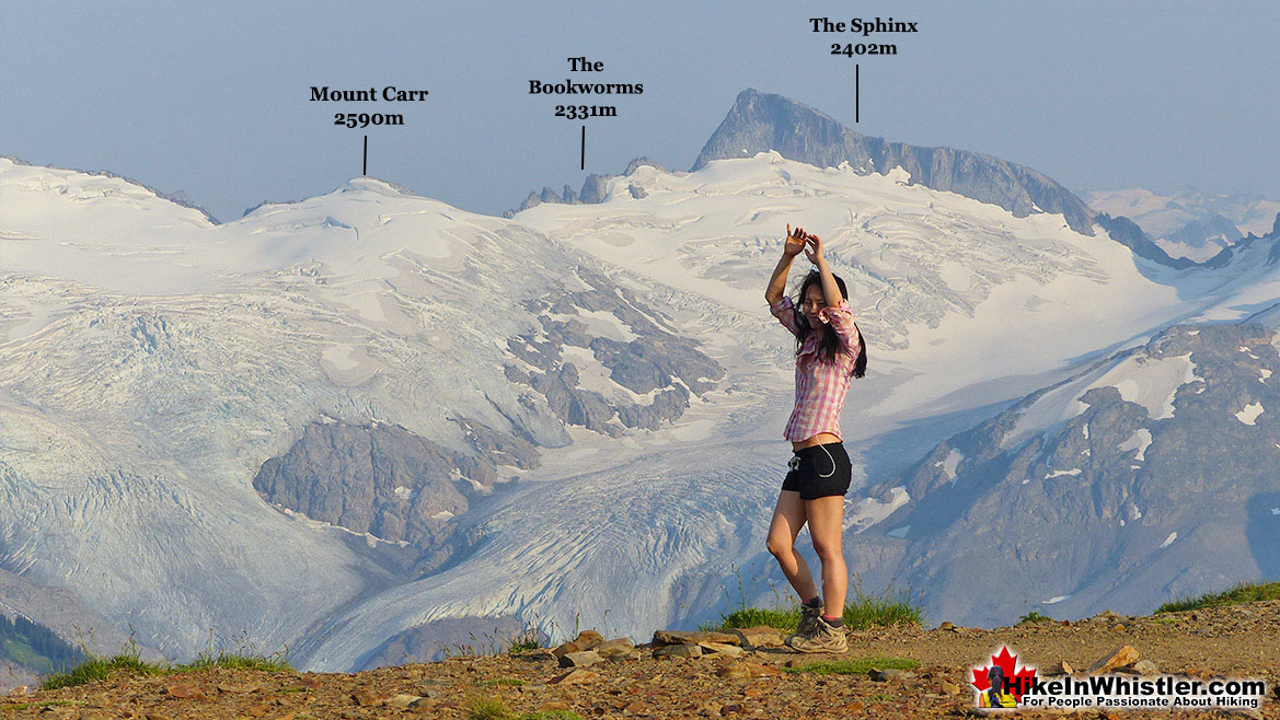 Panorama Ridge Sphinx Glacier