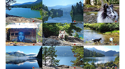 Best Whistler Dog Friendly Hiking Trails