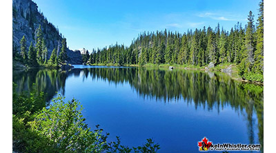 Dog Friendly Whistler Newt Lake