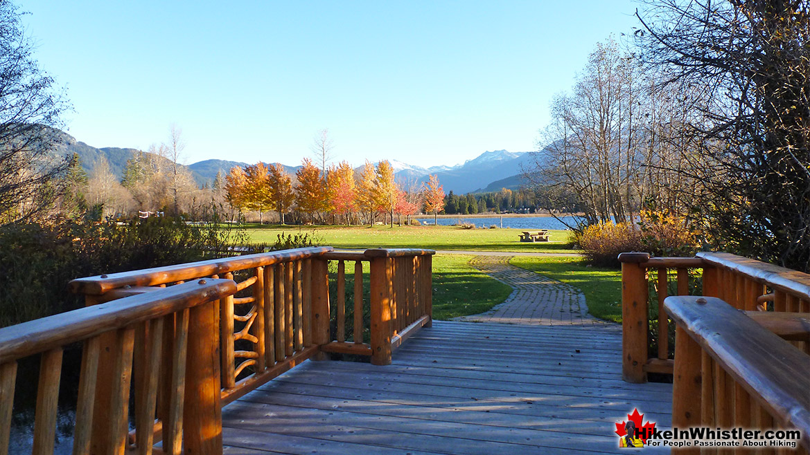 Rainbow Park Run in Whistler