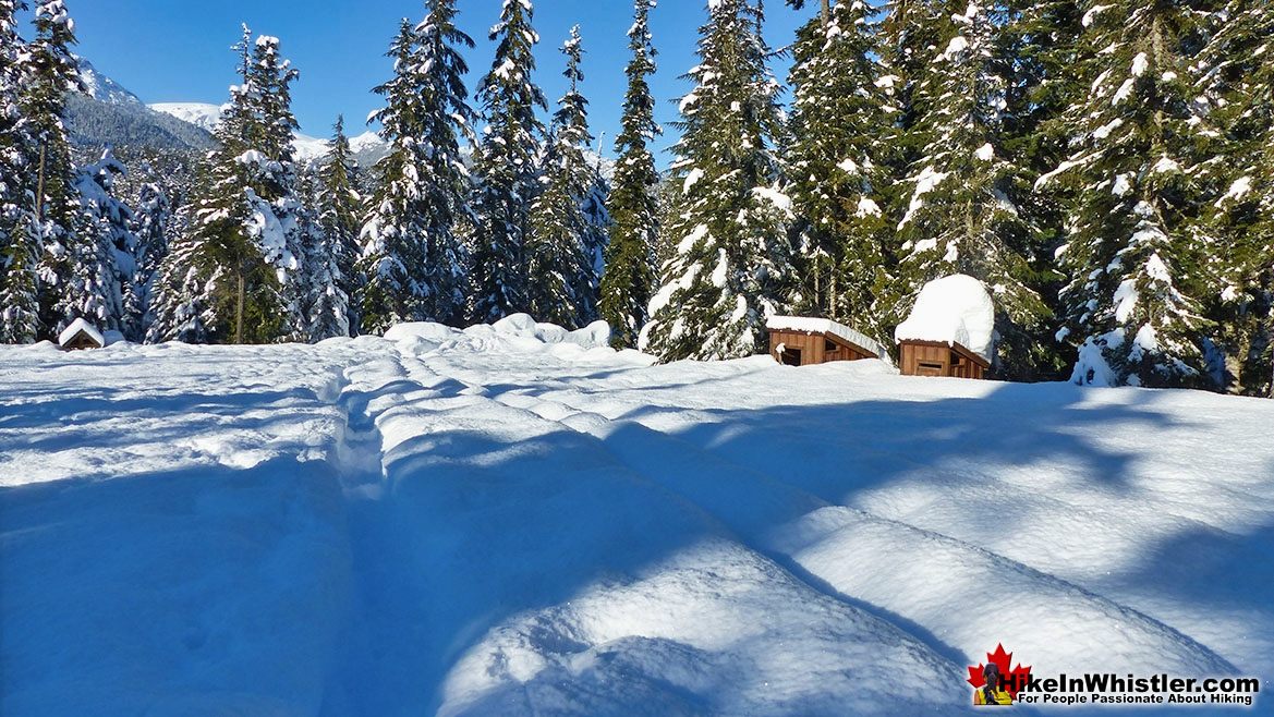 Parking Lot Buried in Snow