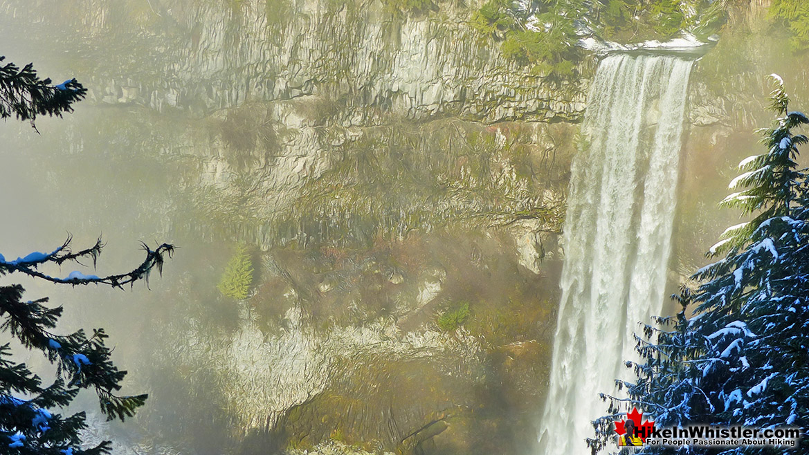 Brandywine Falls Trail View