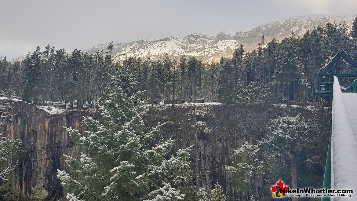 Whistler Bungee Bridge View