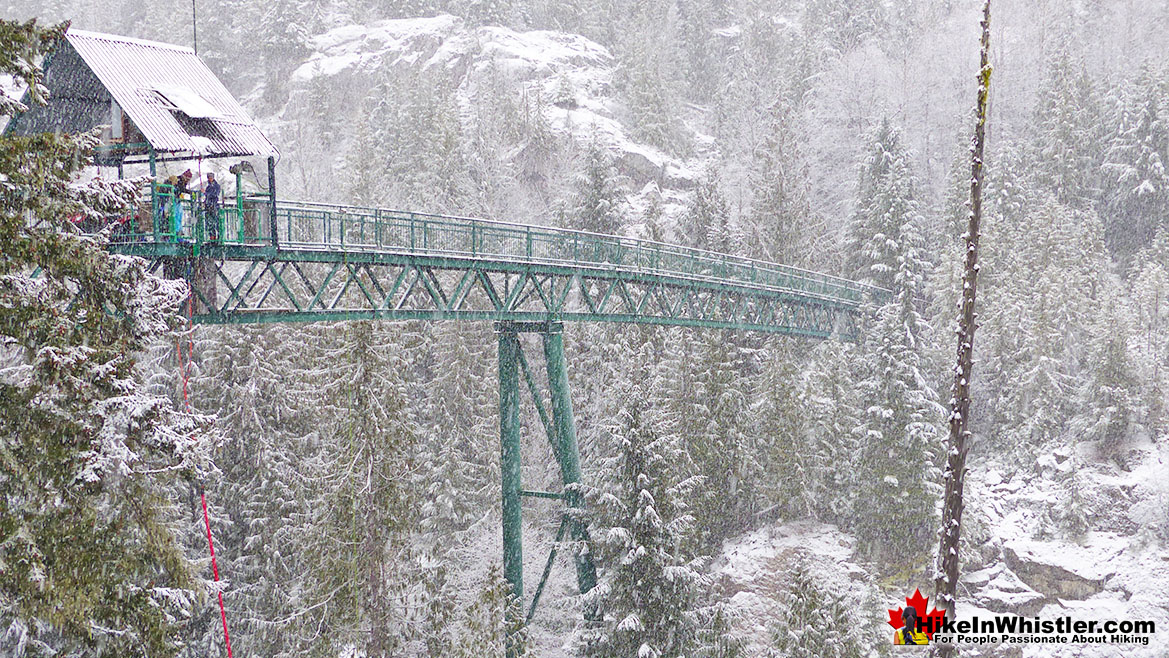 Whistler Bungee Jump View