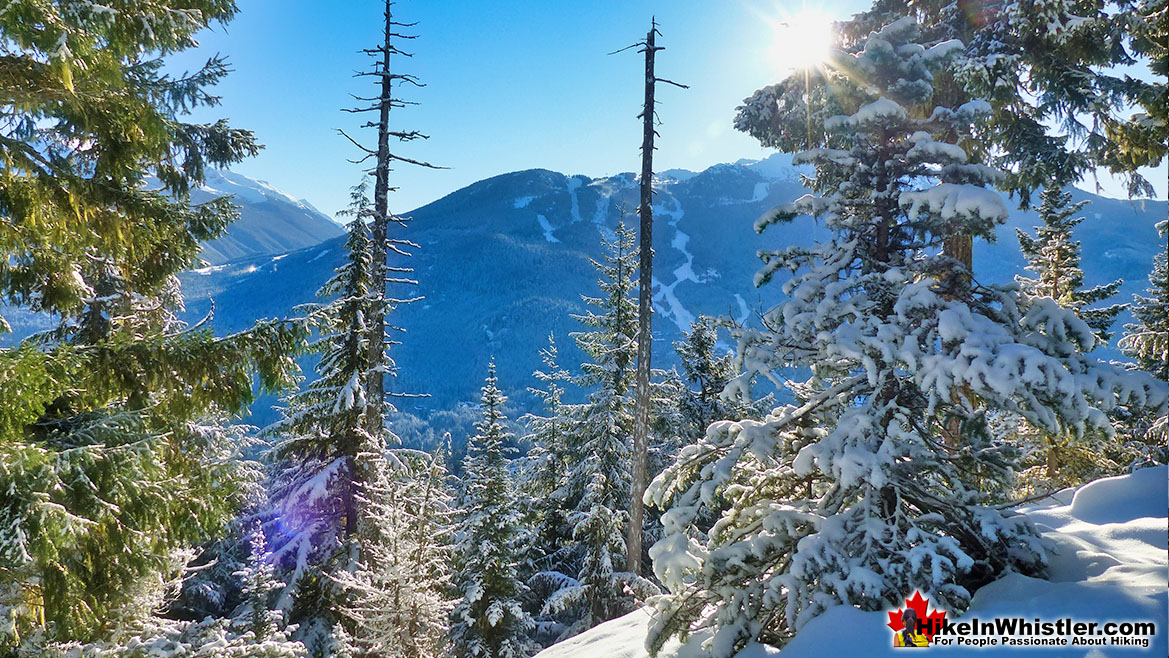 Sproatt East View of Whistler Mountain