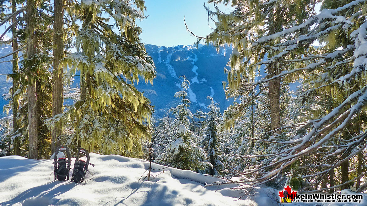 Sproatt East Snowshoe View of Whistler