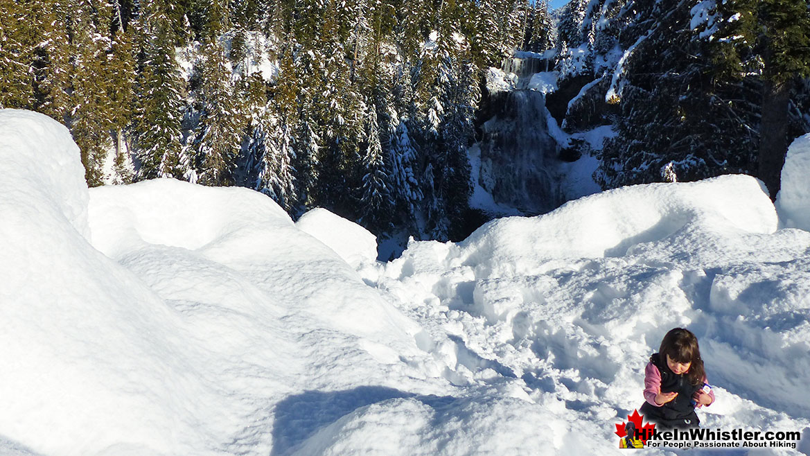 Alexander Falls Snowy Viewpoint