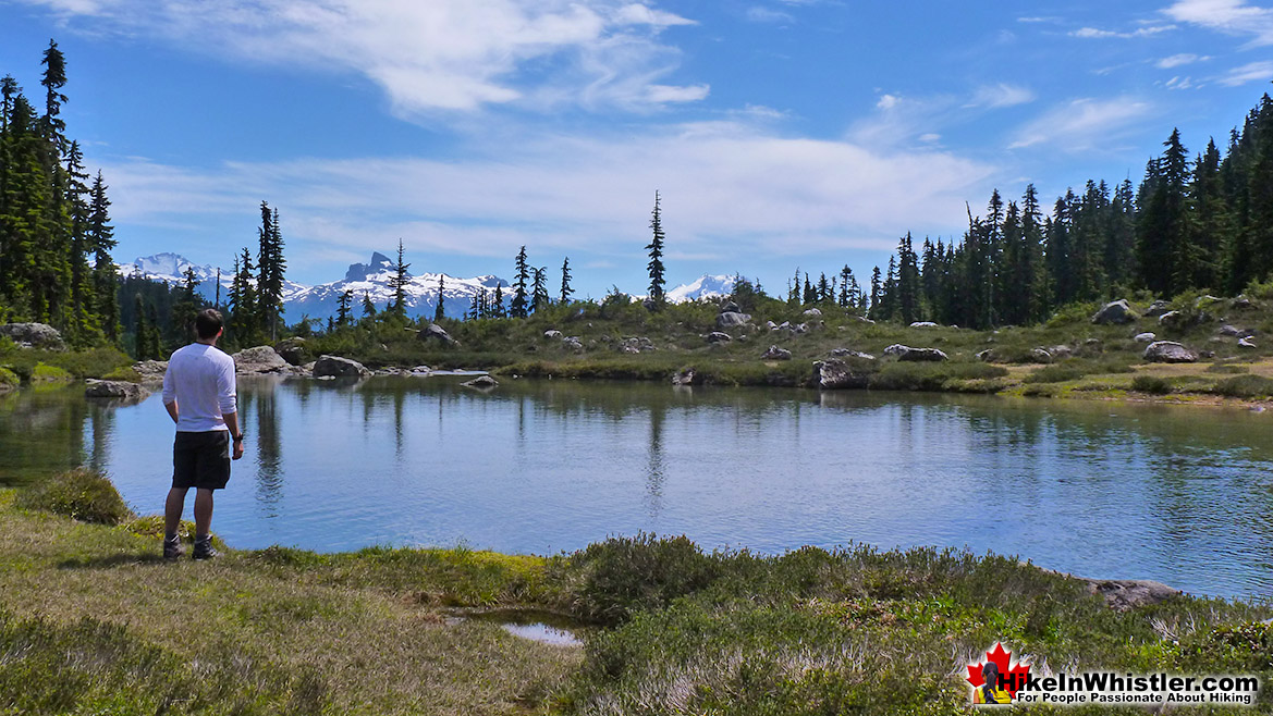 Brandywine Meadows View of Black Tusk