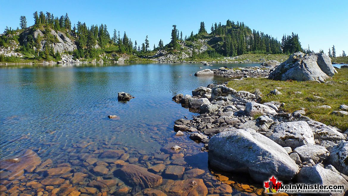 Crystal Clear Brew Lake