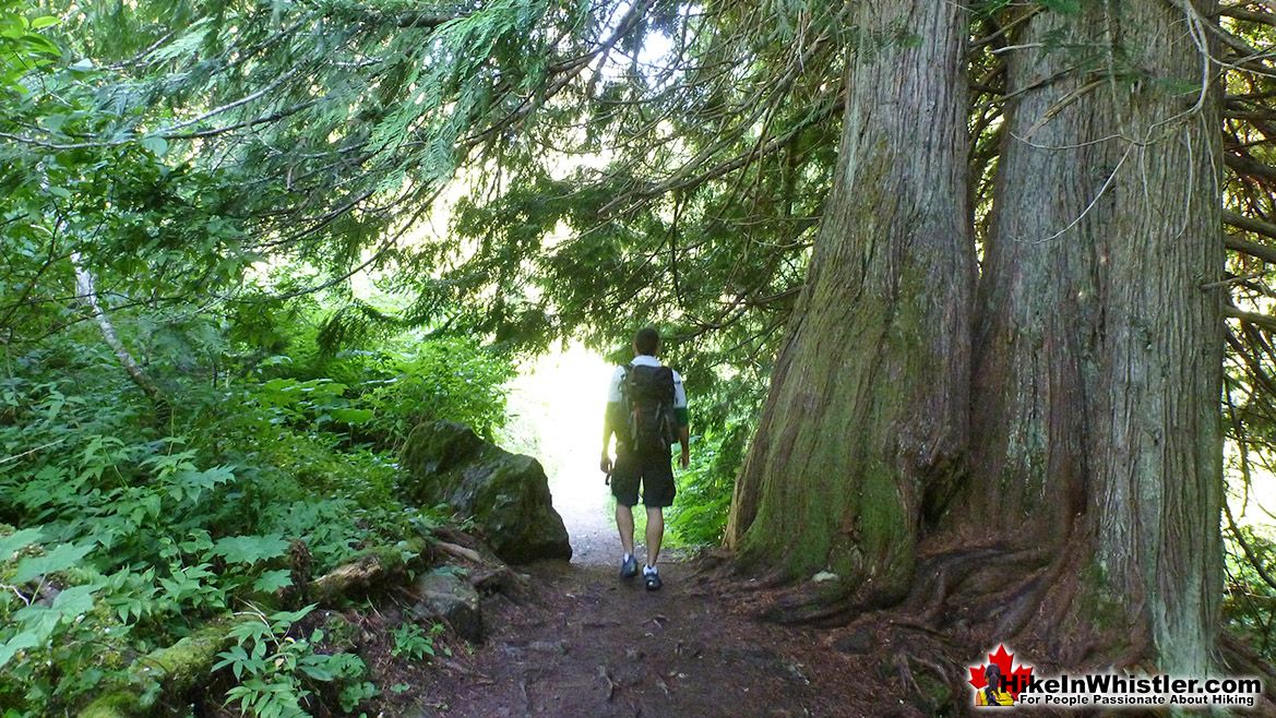 The Cheakamus Lake Trail - Garibaldi Park, Whistler