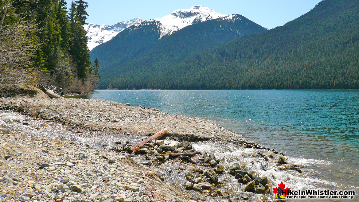 Cheakamus Lake Singing Creek