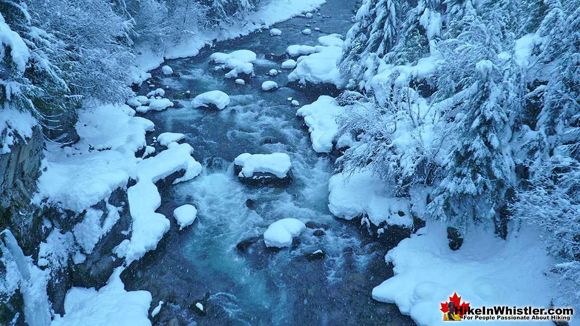 Cheakamus River Bridge View