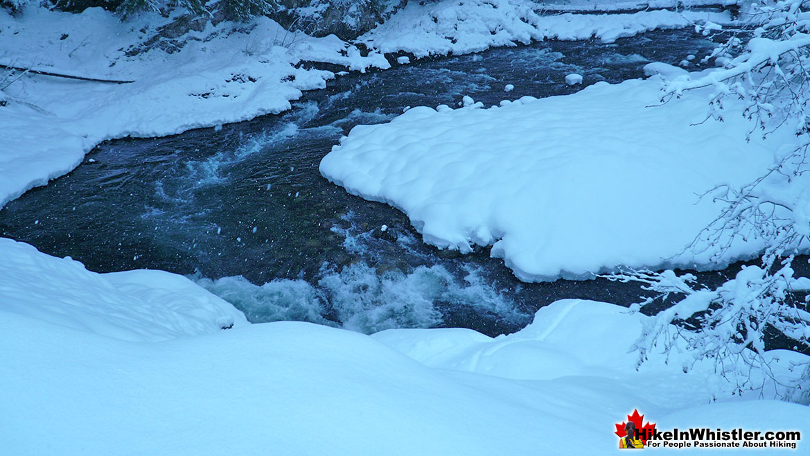 Cheakamus River Snowshoeing Whistler