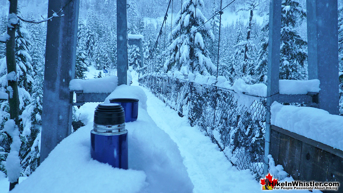 Cheakamus River Snowshoeing