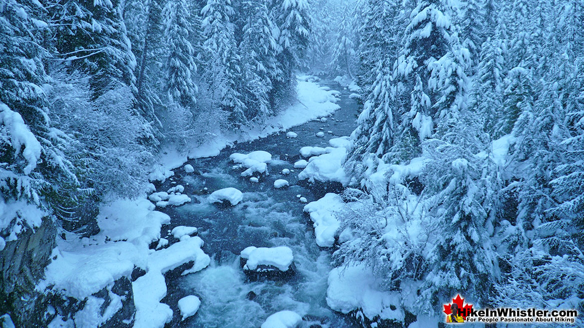 Cheakamus River Snowshoeing