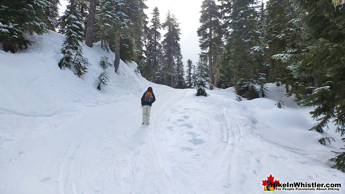 Elfin Lakes Trail Relentless Ascent