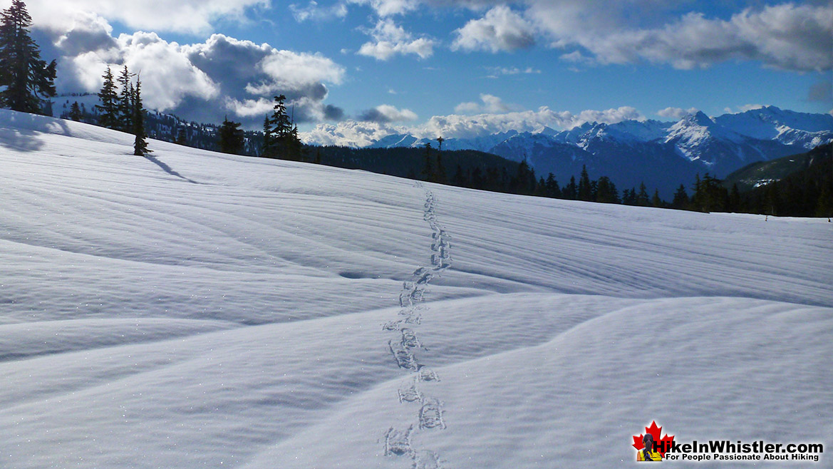 The Elfin Lakes Trail