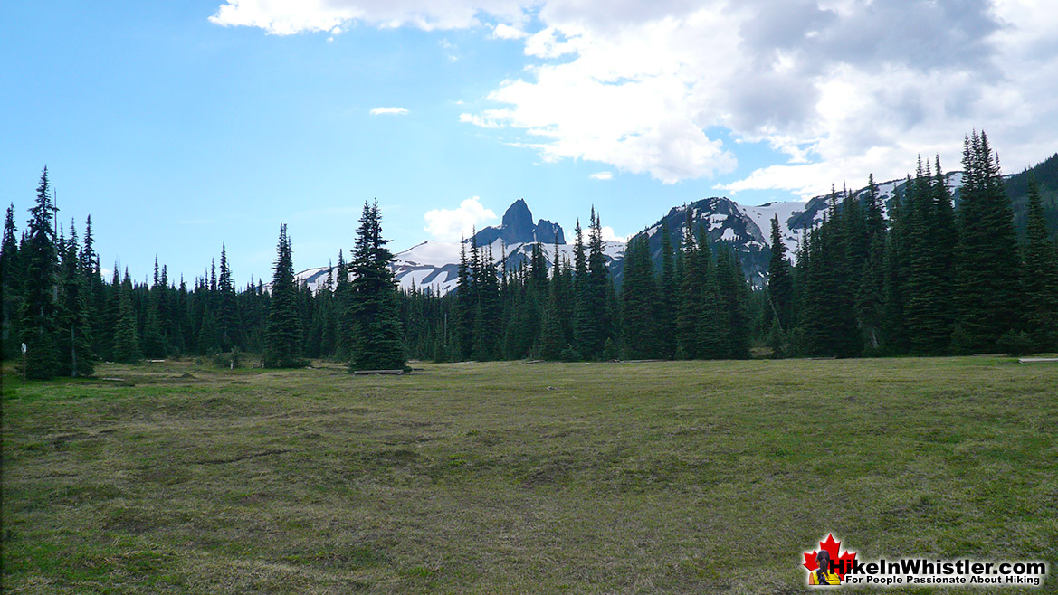 Helm Creek Campground Black Tusk