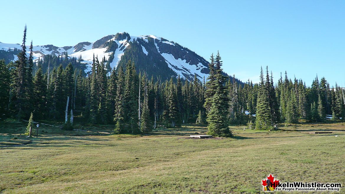 Helm Creek Campsite 5