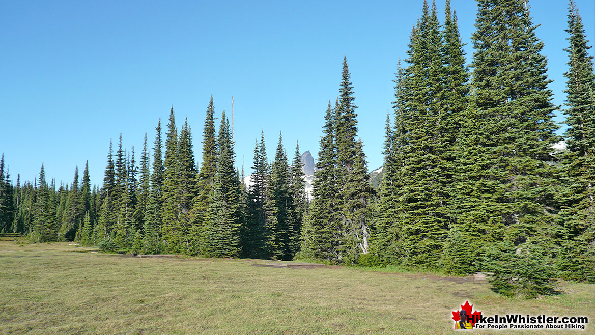 Helm Creek Campsite 8