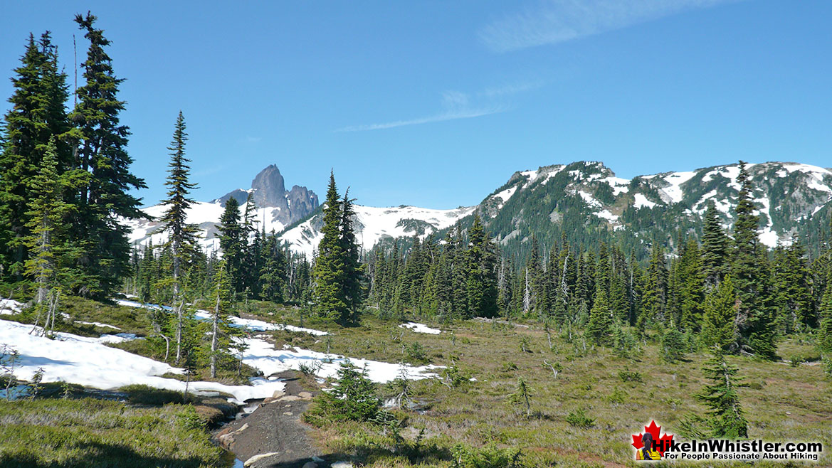 Helm Creek Trail to Black Tusk