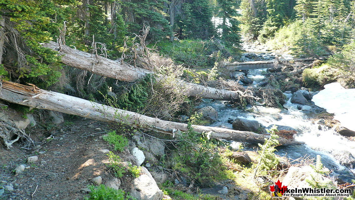 Helm Creek Trail to Black Tusk