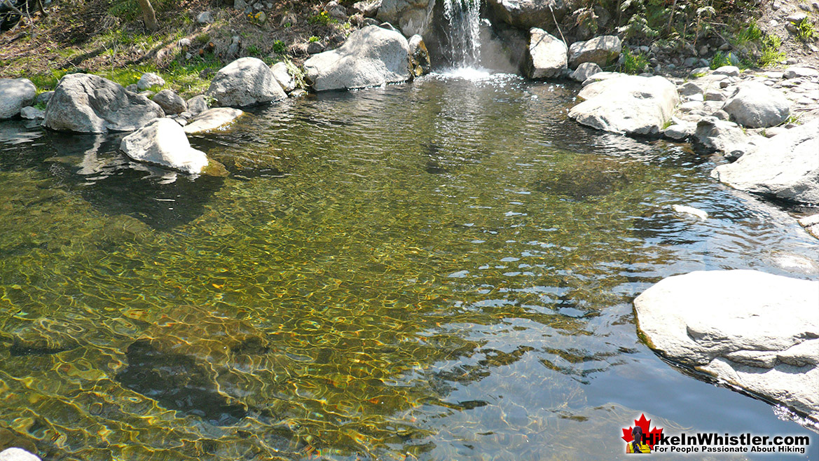 Meager Hot Springs Main Pool