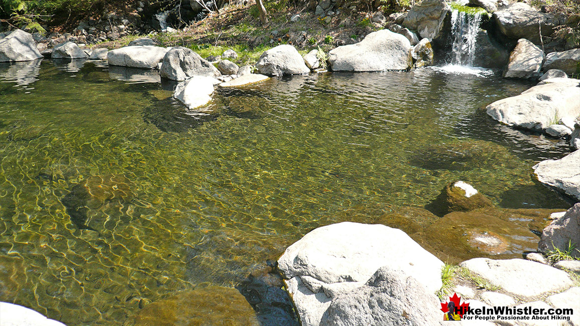 Meager Hot Springs - Hike in Whistler