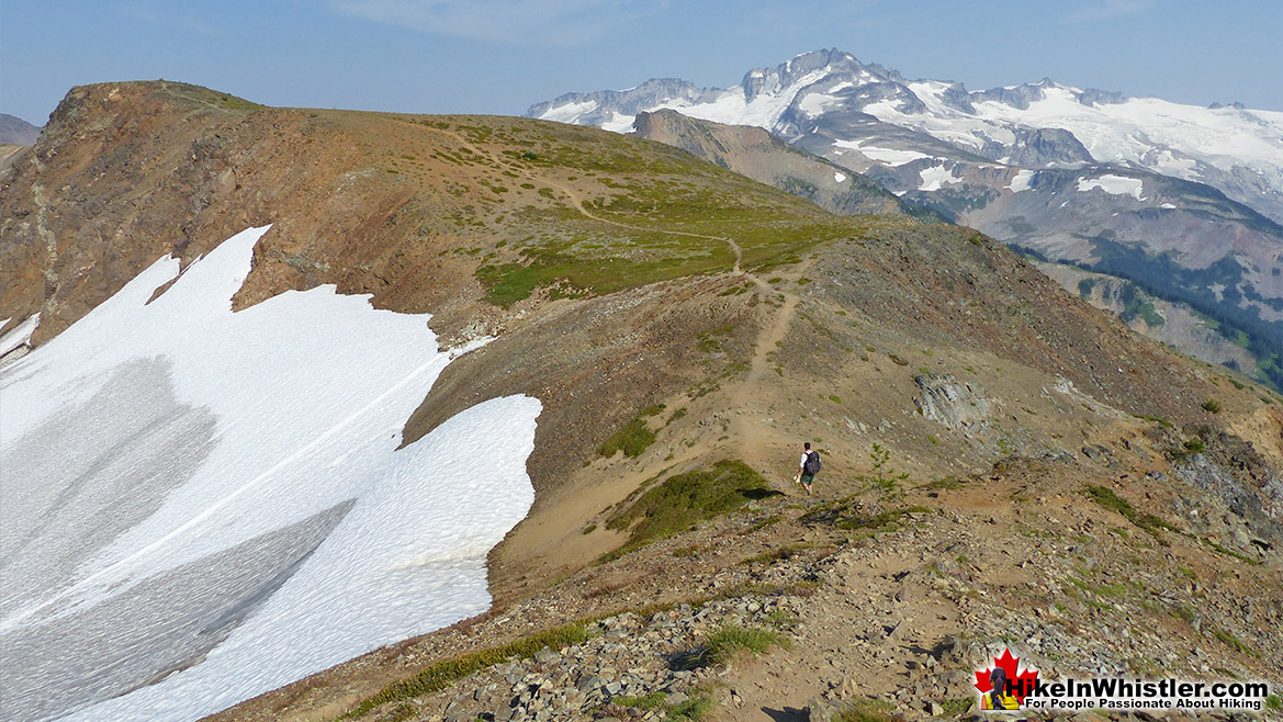 Panorama Ridge Hike in Whistler