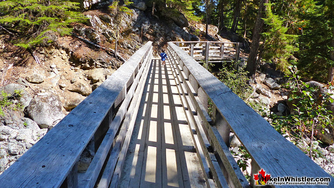 Rainbow Falls Flank Trail Bridge over 21 Mile Creek