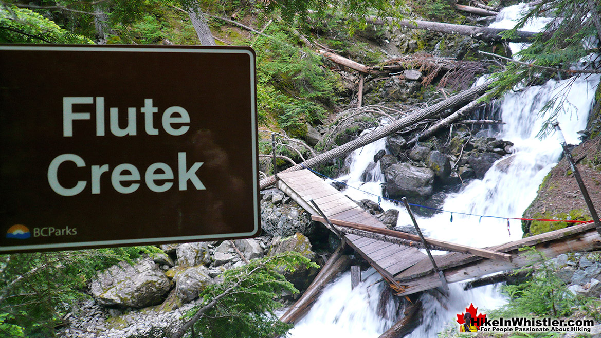 Singing Pass Trail - Hike in Whistler