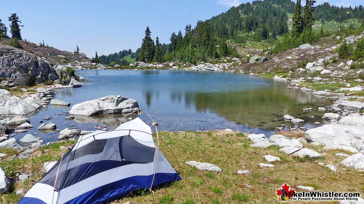 Sproatt Alpine - Hike in Whistler