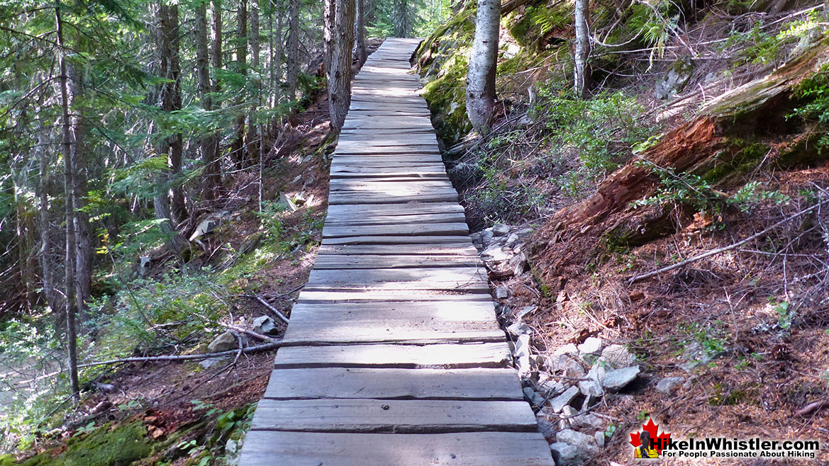 Darwin's Trail Boardwalk to Sproatt