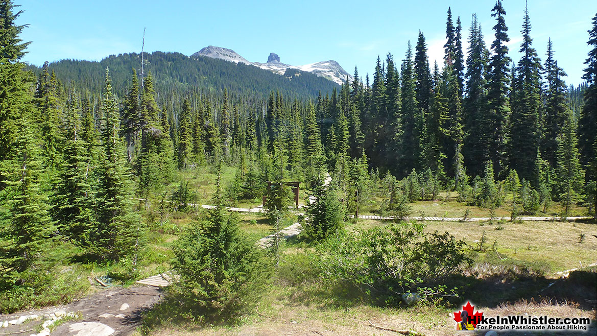 Taylor Meadows Campsite