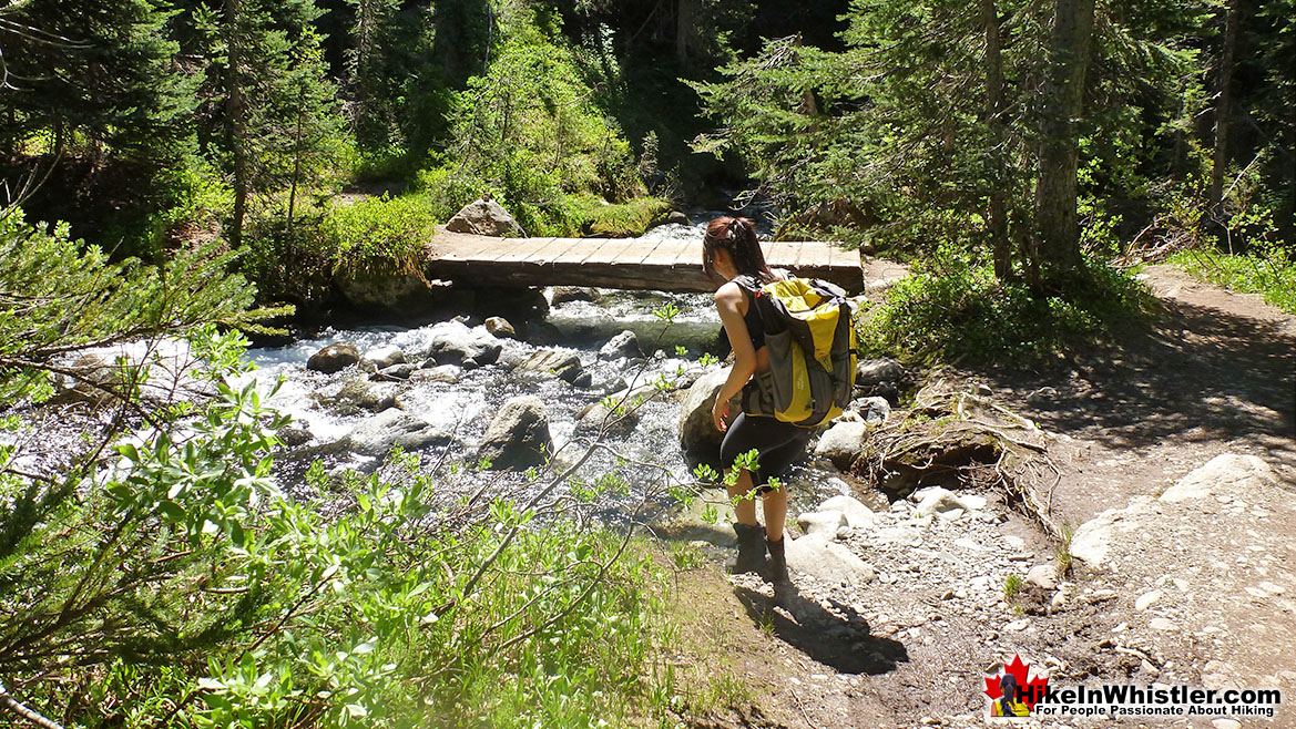 Taylor Meadows Fresh Water