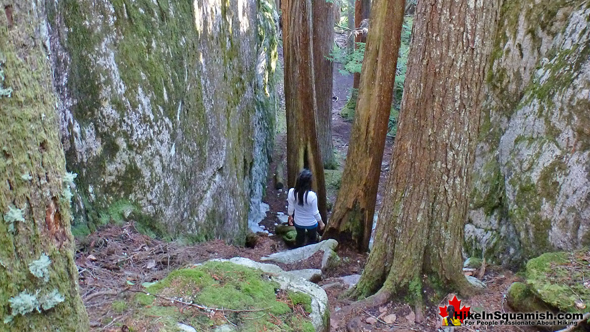 Steep Upper Shannon Falls Trail